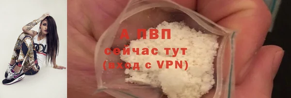 сатива Сатка