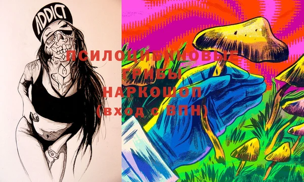 дурь Богданович