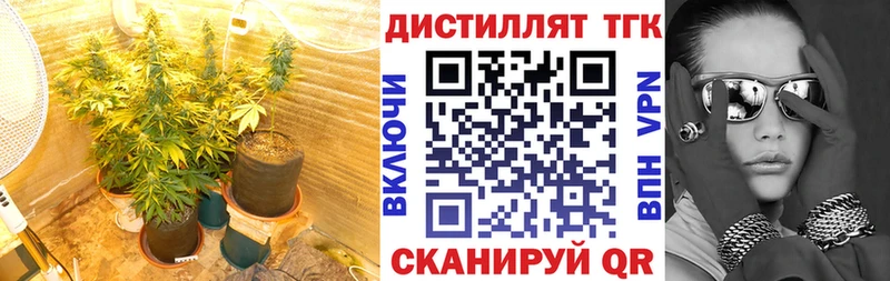 Дистиллят ТГК THC oil  наркота  блэк спрут как зайти  Надым 